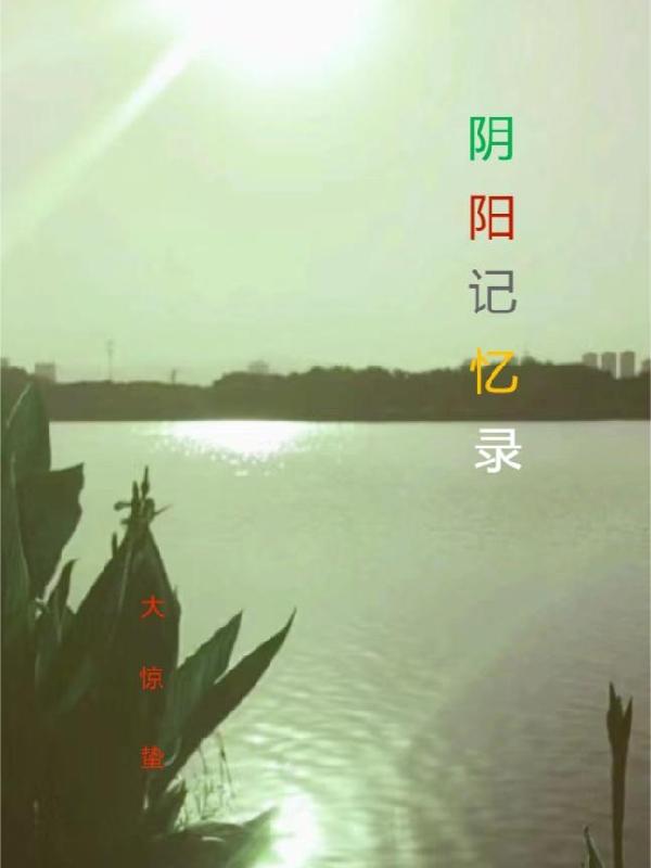 阴阳角是什么