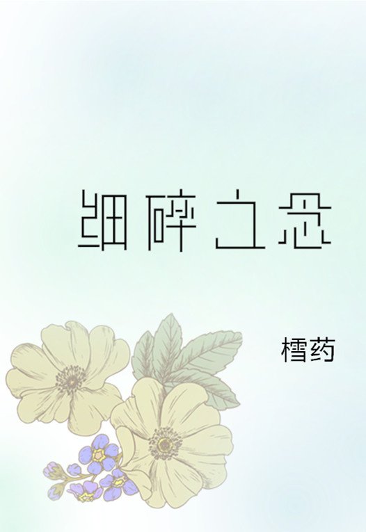 细碎流年小说